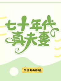七十年代真夫妻95