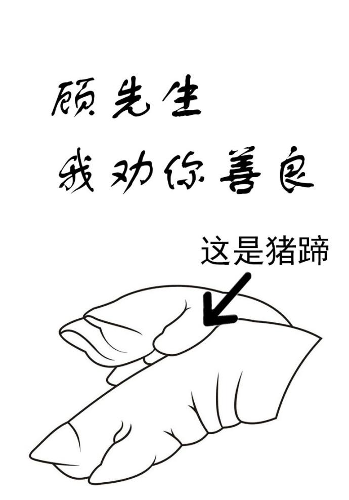 顾先生我劝你善良番外