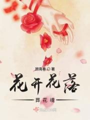 花开花落葬花魂